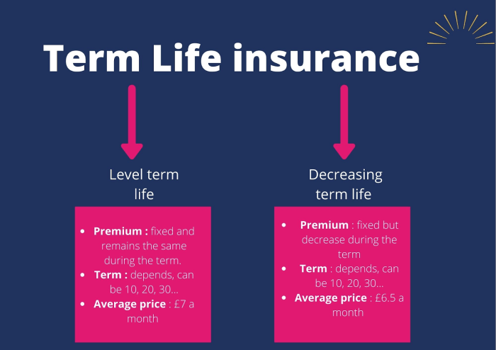 Types of Term Life Insurance Policies: Everything You Need to Know ...