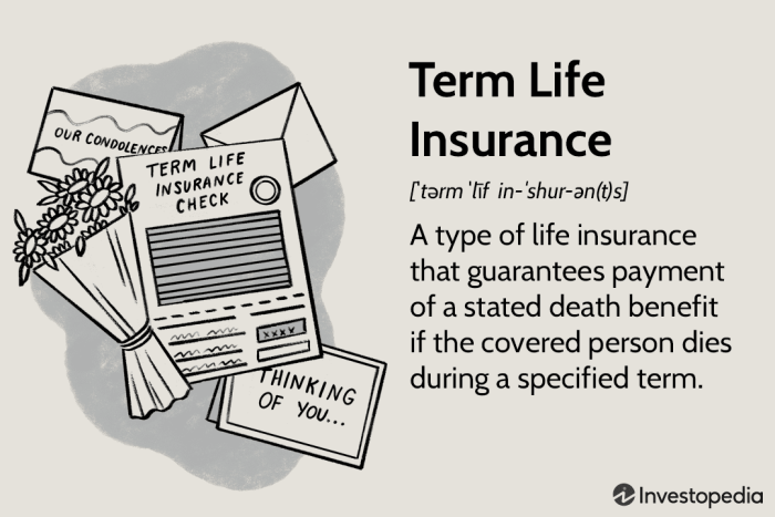 Term Life Insurance: What It Is, Different Types, Pros and Cons