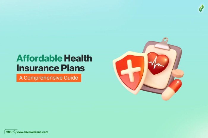 Affordable Health Insurance Plans in 2025 - Alive Well Zone