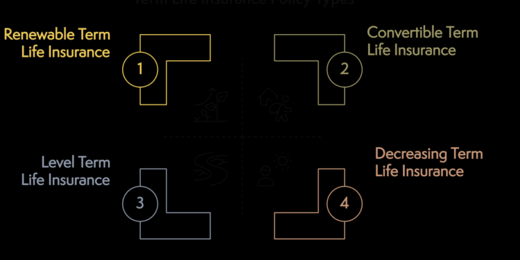 What Is Term Life Insurance: How It Works, Costs, and Benefits - Everly ...