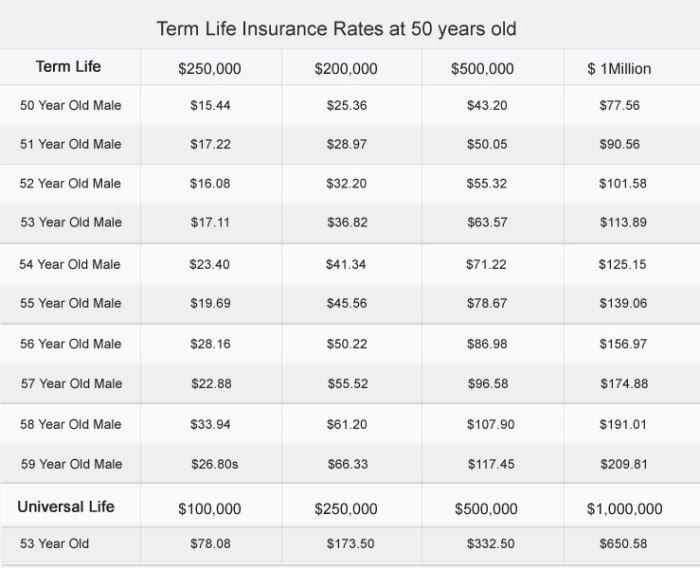 Term Life Insurance Costs